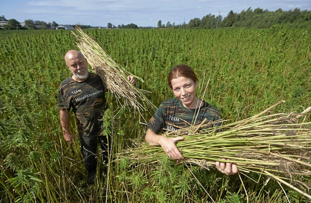 Hampabondens Öl & Sprit