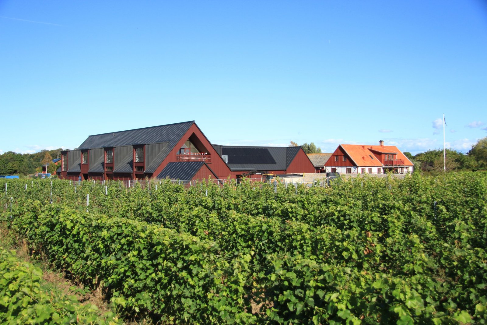 Kullabergs Vingård
